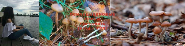MDMA Беломорск