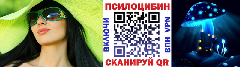 Купить  Ефремов  Галлюциногенные грибы Psilocybe 